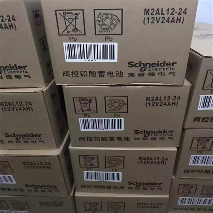 施耐德蓄電池M2AL12-100 BATT12100MGE價(jià)格及原產(chǎn)地