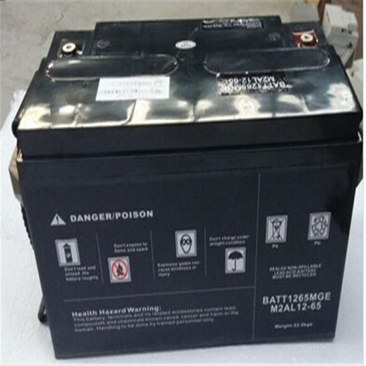 施耐德蓄電池M2AL12-230報(bào)價(jià)