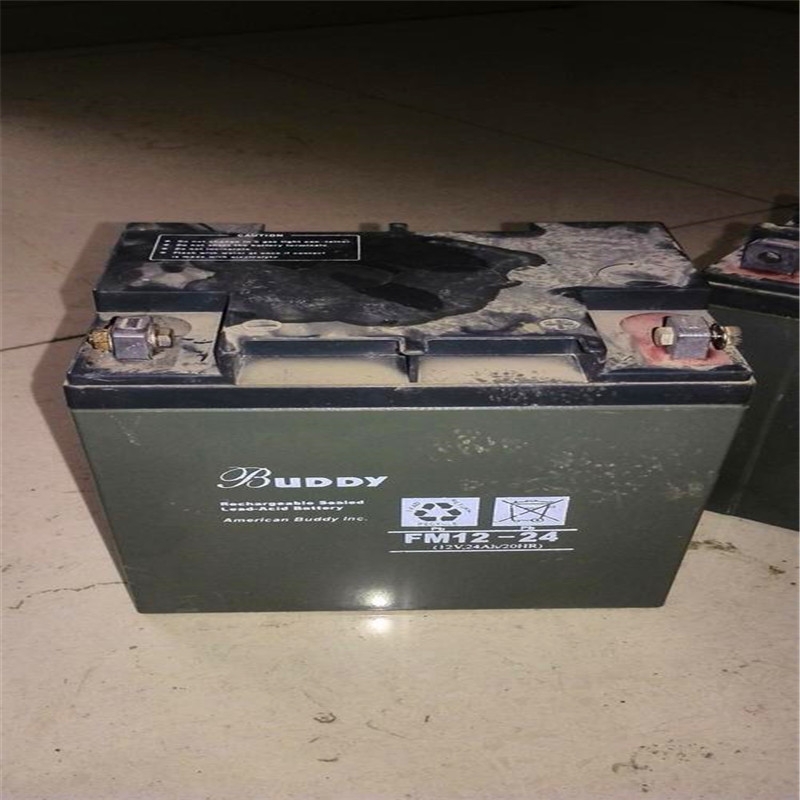 BUDDY寶迪蓄電池6-GFM-24 12V24AH全國統(tǒng)一賣價
