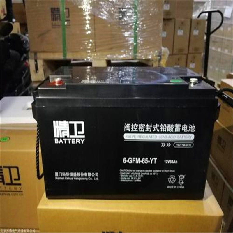 精衛(wèi)蓄電池6-GFM-24-YT/12V24AH華南火爆品牌