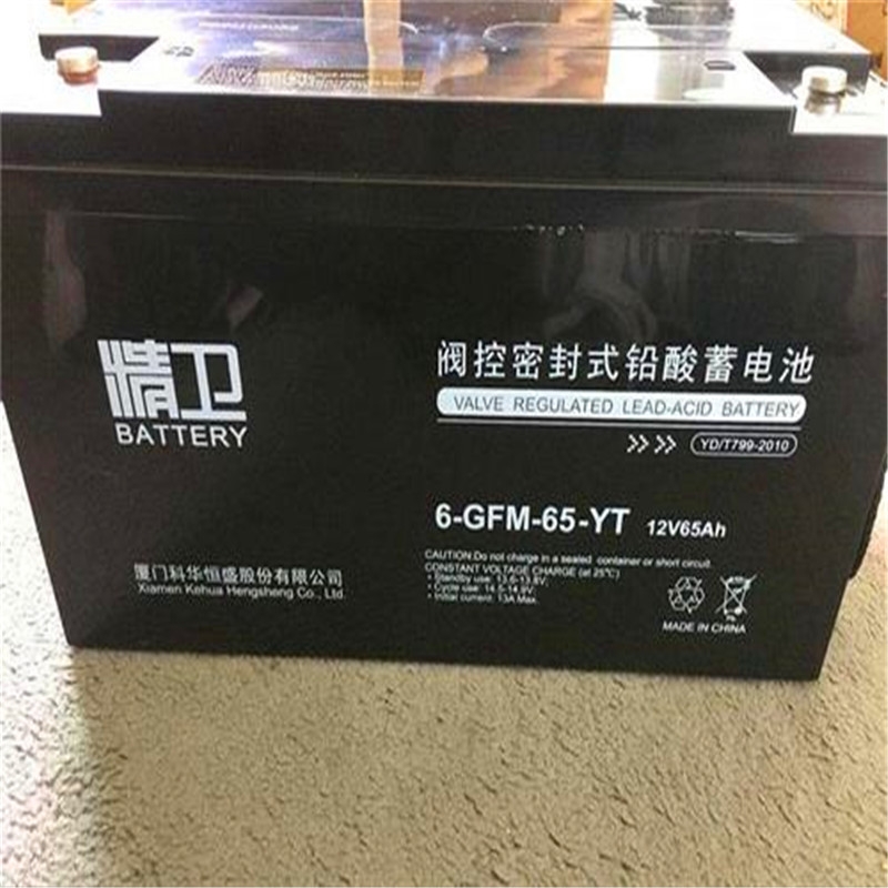 精衛(wèi)蓄電池6-GFM-150YT 12V150H價格到手多少