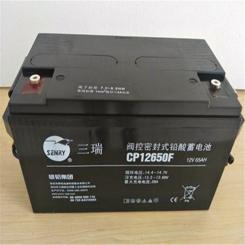 三瑞蓄電池6FM120E-X/12V120AH長壽命做到全國聯(lián)保