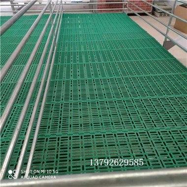 塑料板羊床 羊地板 塑料網(wǎng)床