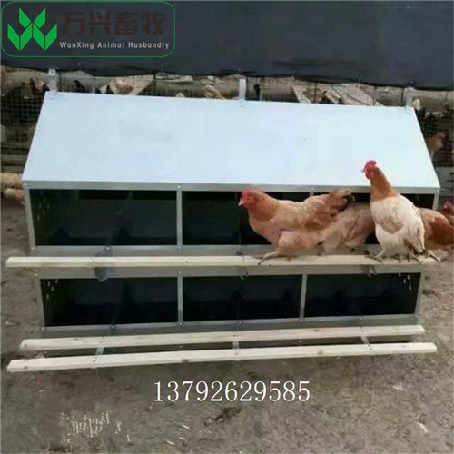 供應(yīng)萬(wàn)興畜牧鍍鋅板產(chǎn)蛋箱 新式產(chǎn)蛋箱 24窩產(chǎn)蛋箱
