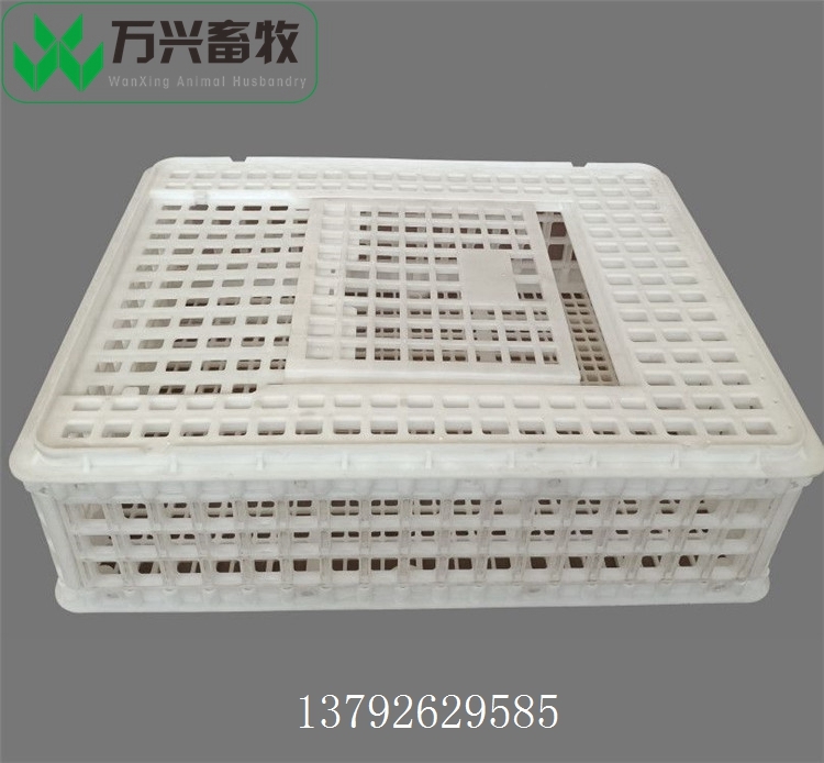 雞籠運(yùn)輸筐 蛋雞周轉(zhuǎn)筐 雞運(yùn)輸籠