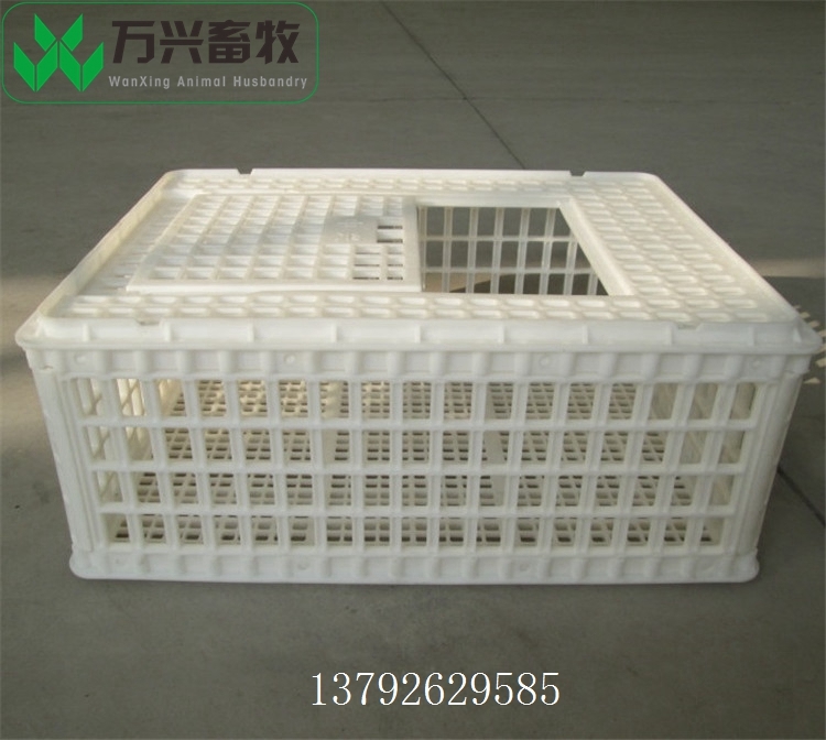 成雞周轉(zhuǎn)籠 雞筐 雞用周轉(zhuǎn)筐