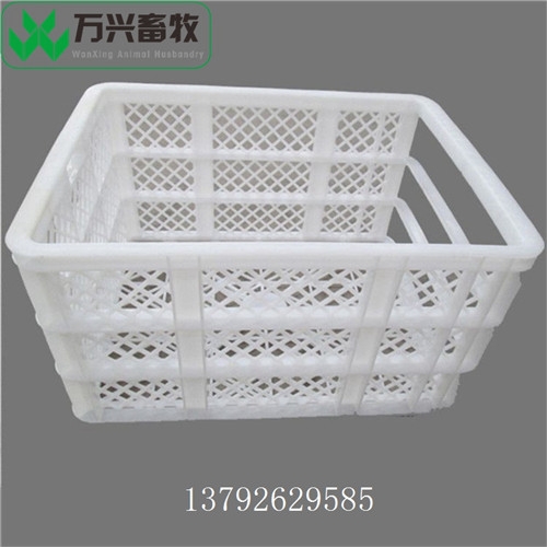 鴨蛋轉(zhuǎn)運(yùn)箱 種蛋塑料筐 雞蛋周轉(zhuǎn)筐廠家