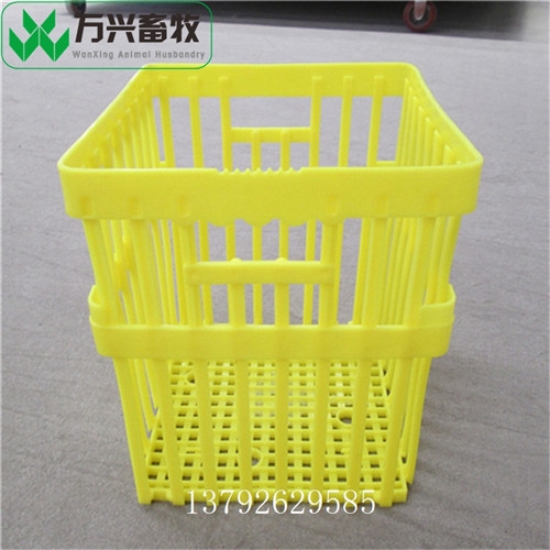 種蛋塑料箱 白色塑料雞蛋筐 可堆式周轉(zhuǎn)筐