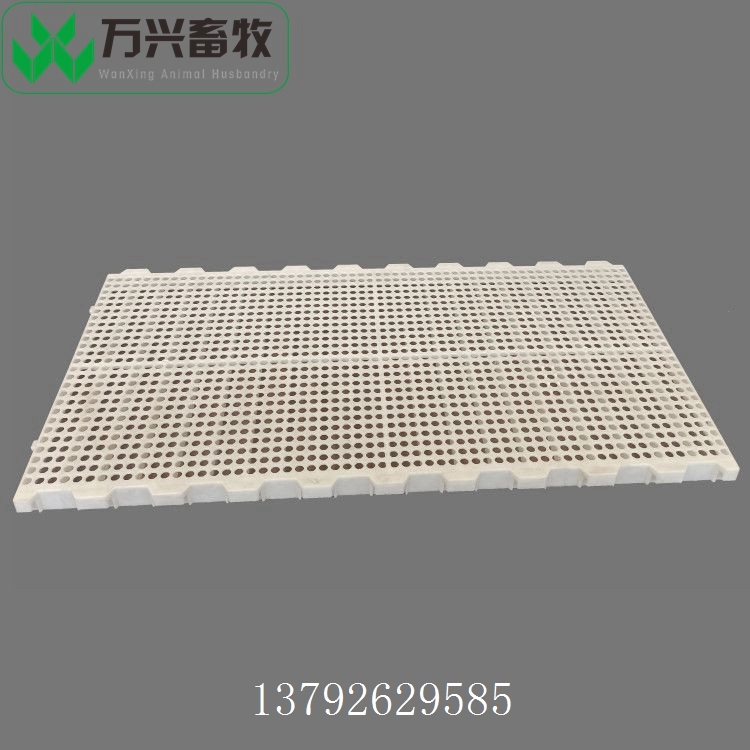 塑料漏糞板型號(hào) 雞用漏糞板平網(wǎng) 漏糞地板網(wǎng)