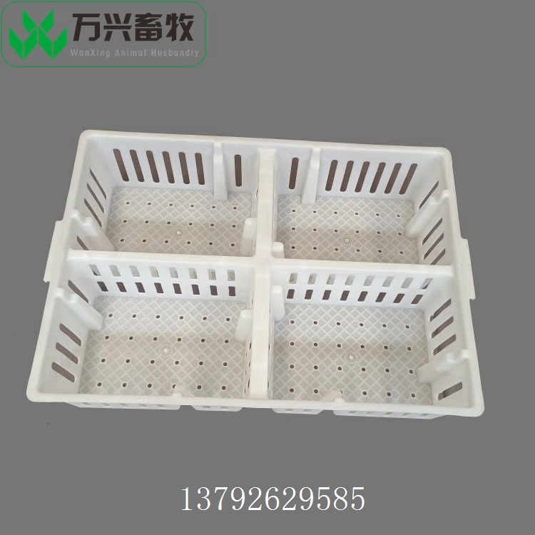 供應萬興畜牧小雞分欄育雛箱 雞苗箱 雛雞塑料周轉(zhuǎn)箱