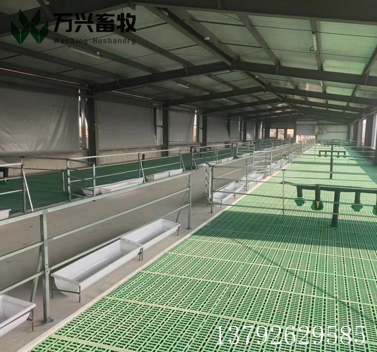 塑料羊糞板 塑料羊圈漏糞板 羊場(chǎng)用漏糞板