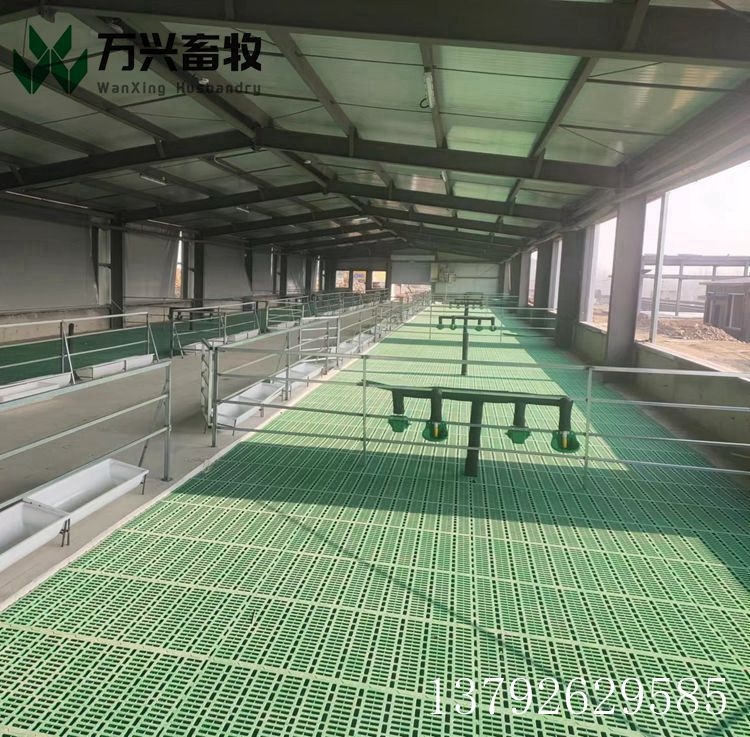 羊用漏糞板 塑料羊舍漏屎地板 羊場漏糞板安裝