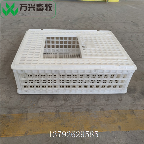供應(yīng)萬興畜牧雞鴨鵝塑料成雞筐