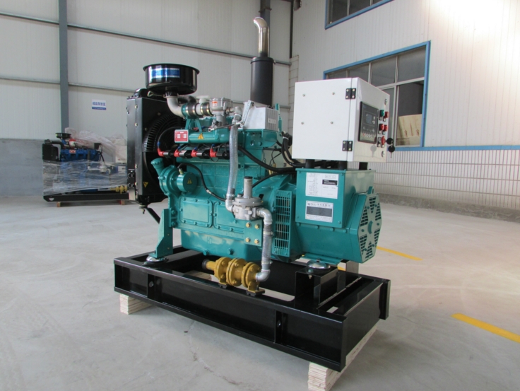 養(yǎng)鵝場10kw千瓦微型沼氣發(fā)電機 畜牧場用燃氣發(fā)電機組
