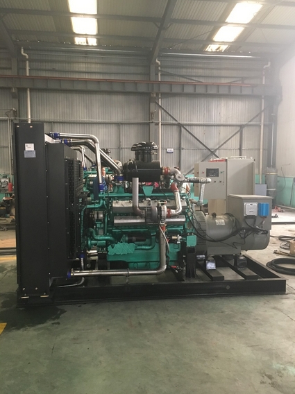 贛州250KW垃圾填埋場(chǎng)沼氣發(fā)電機(jī)組 生活垃圾無(wú)害化處理發(fā)電