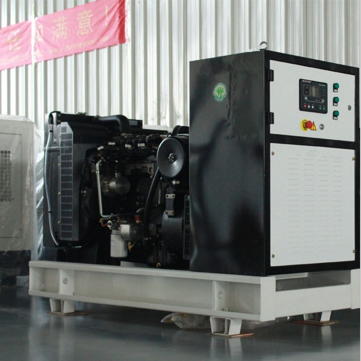 南充100KW千瓦鵝棚糞便沼氣發(fā)電機組價格 鵝糞燃氣發(fā)電設(shè)備