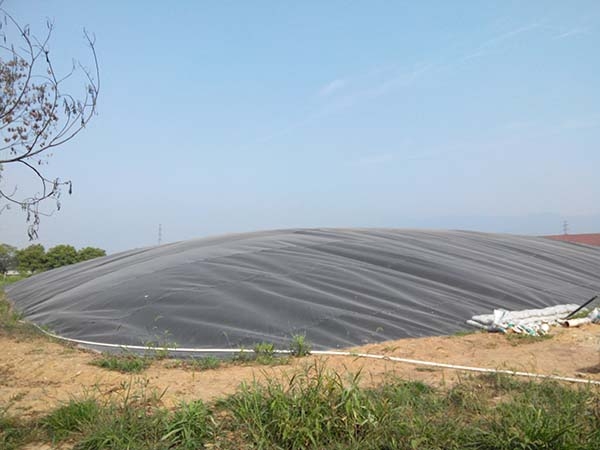 廣東300千瓦豬場沼氣發(fā)電機(jī)組 農(nóng)牧發(fā)展公司備用氣體發(fā)電站