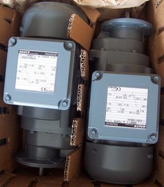 BAUMER	314619