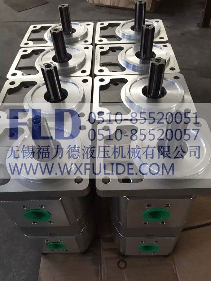CBG2080/2080-BFPR雙聯(lián)齒輪泵
