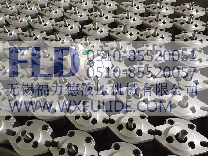CBQT-F525/F410-AFPL雙聯(lián)齒輪泵