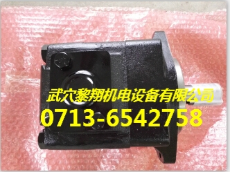 T6C-025-2L02-B1常年熱銷葉片泵