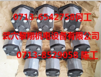 GHPIA-D-4-FG爆款現(xiàn)貨馬祖奇齒輪泵