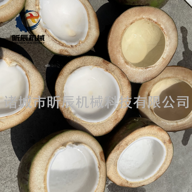 青皮椰子分切機(jī)一切為兩半方便取汁