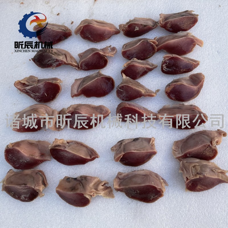 鹵鴨胗烤鴨胗香辣鴨胗切塊機(jī)