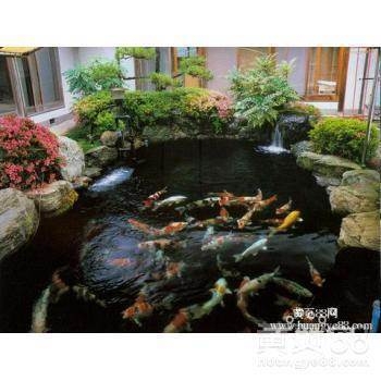 上海志晶辦公室魚(yú)缸清洗維修公司 魚(yú)池清洗