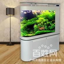 上海友誼觀賞魚招財(cái)魚銷售包配送 觀賞魚護(hù)理，清洗魚缸魚池