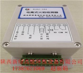 廠家直銷點(diǎn)火器 火焰檢測(cè)器 新綠高能電離式火焰檢測(cè)器XLDJ-104