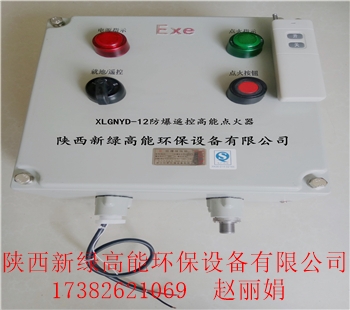 直供山東油氣田天然氣增壓站安全火炬防爆遙控高能點(diǎn)火器裝置XLGNYD-12