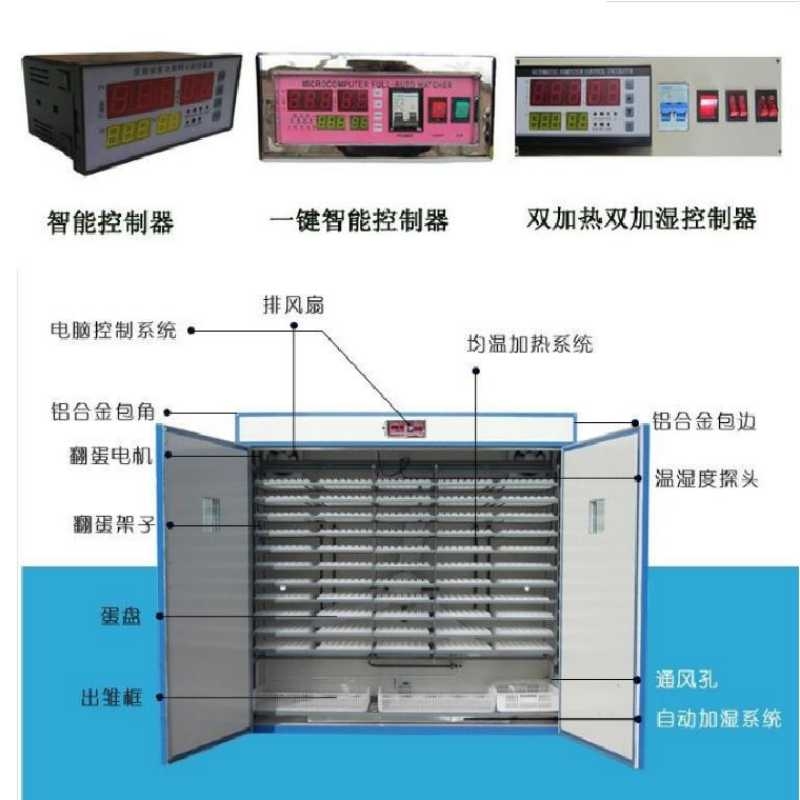 小孵設(shè)備大型孵設(shè)備自動(dòng)孵機(jī)