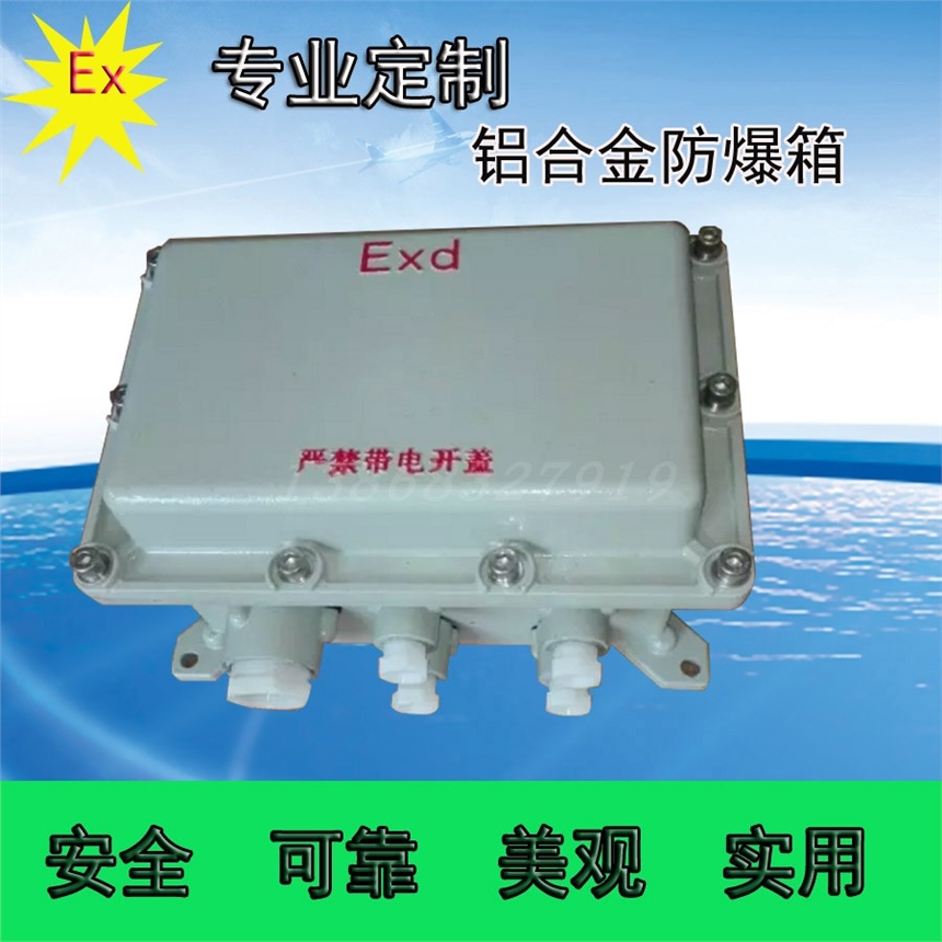 粉塵防爆照明開關配電箱SEXK防爆控制箱防腐防粉塵漏電斷路器