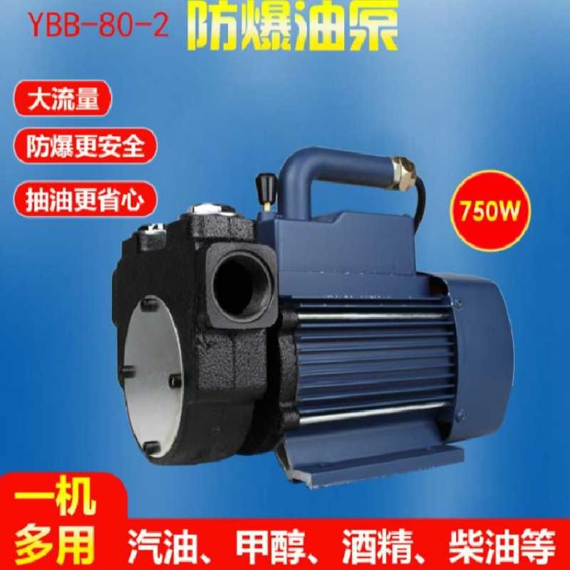 簡(jiǎn)易抽油泵油泵24v加油泵