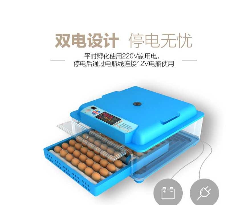 家禽孵設(shè)備孵機(jī)設(shè)備孵小型機(jī)