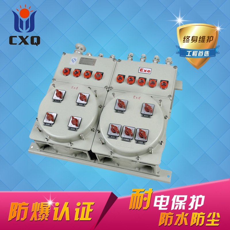 排隔爆型防粉塵防腐配電箱防爆配電箱粉塵防爆照明開關(guān)配電箱