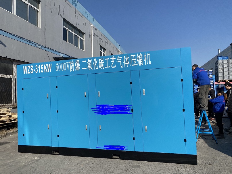 二氧化碳工藝氣體空壓機(jī)落地解決方案咨詢