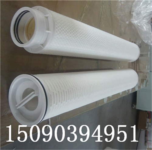 PF-005-40頗爾大流量水濾芯廠家生產(chǎn)直銷?
