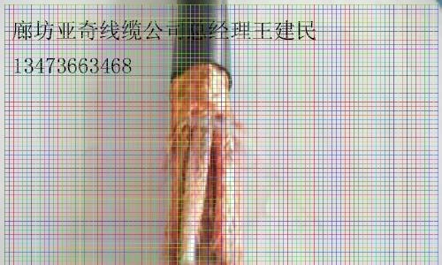 麗江HYV大對(duì)數(shù)通信電纜包郵價(jià)格