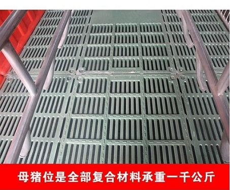 雙體母豬產(chǎn)床價(jià)格優(yōu)惠
