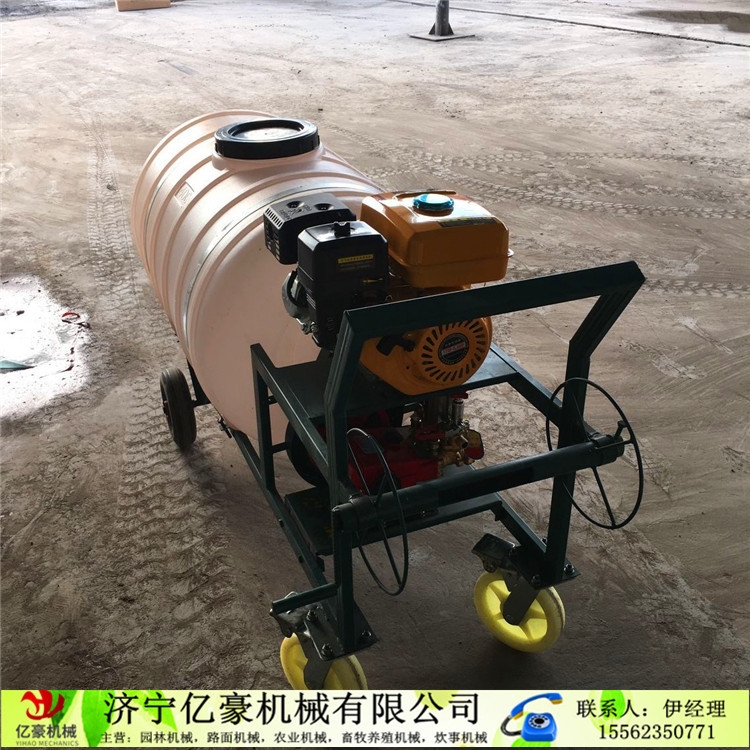 將樂縣果園打藥機(jī)高壓遠(yuǎn)射程煙霧排行榜