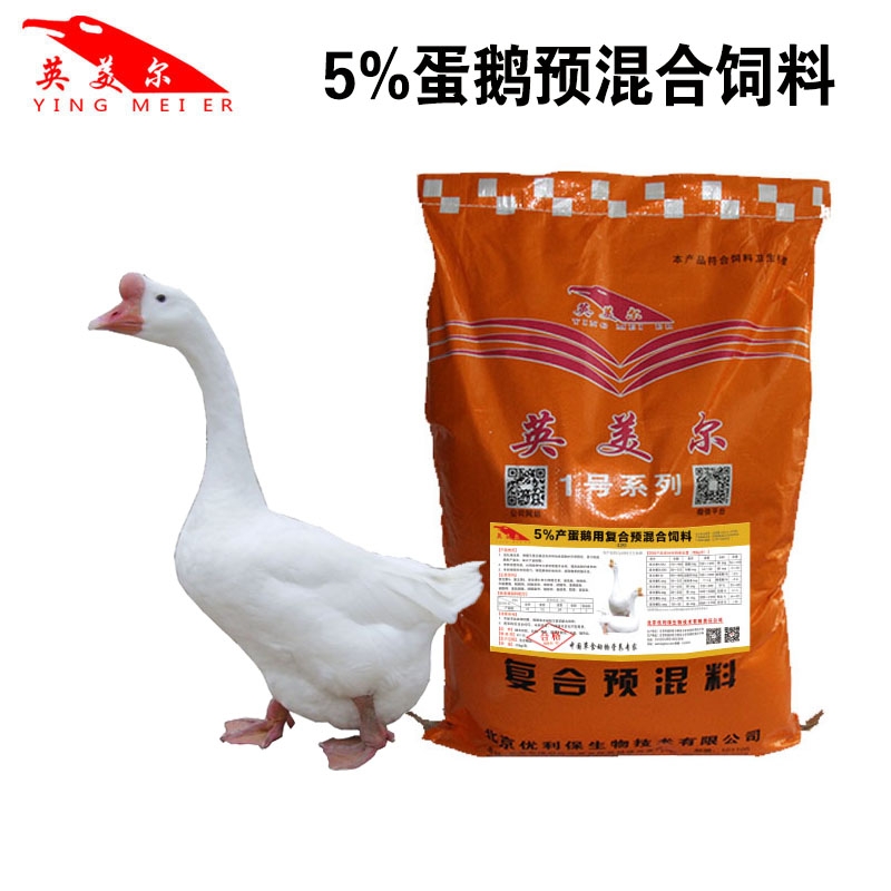 大三花鵝快速育肥