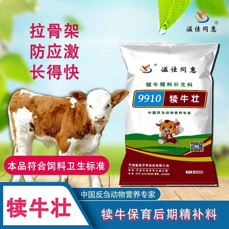 犢牛保育后期精補(bǔ)料吃一斤漲一斤