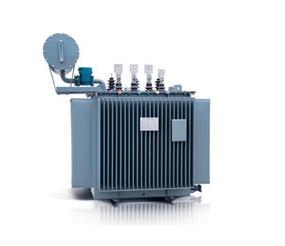 S11-315KVA/35KA油浸式變壓器朔州市山陰縣精心制造