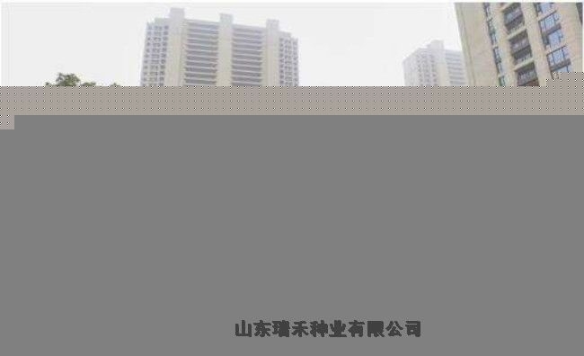 一平方邊坡的護(hù)坡草種子用量早熟禾