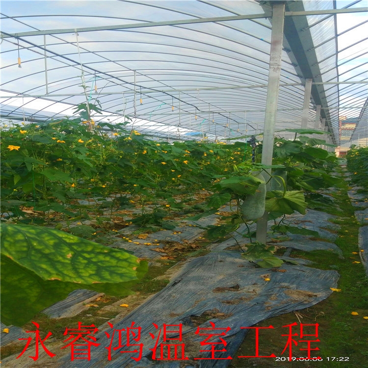 廠家訂做 智能連棟溫室大棚 24小時(shí)熱線