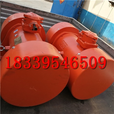 振動(dòng)電機(jī)振動(dòng)設(shè)備電源激振器