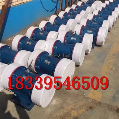 100-6|75-6振動(dòng)電機(jī)大型振動(dòng)電機(jī)