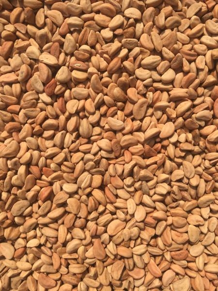 生物質(zhì)顆粒燃料熱值化驗(yàn)機(jī)